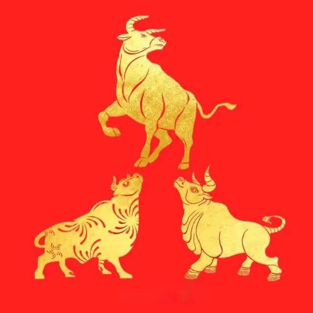 Lykke til fra begynnelsen